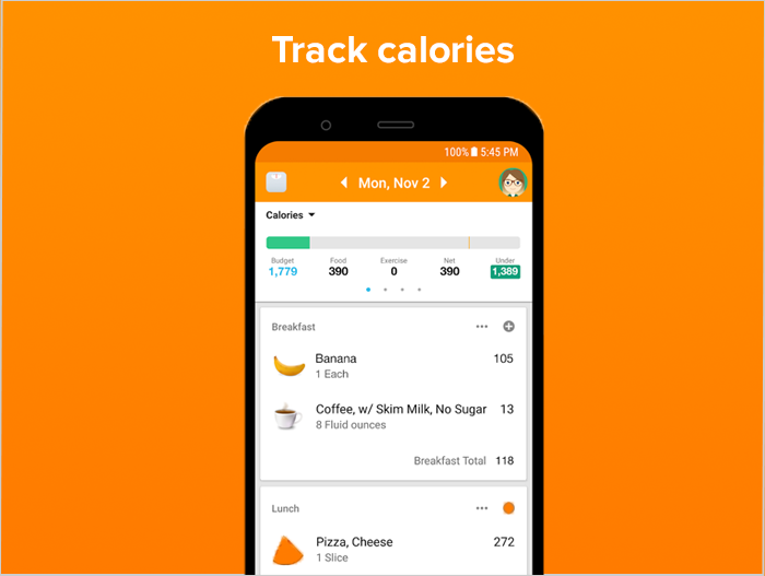 Lose It App Review