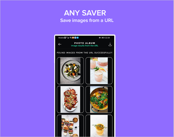 AnySaver