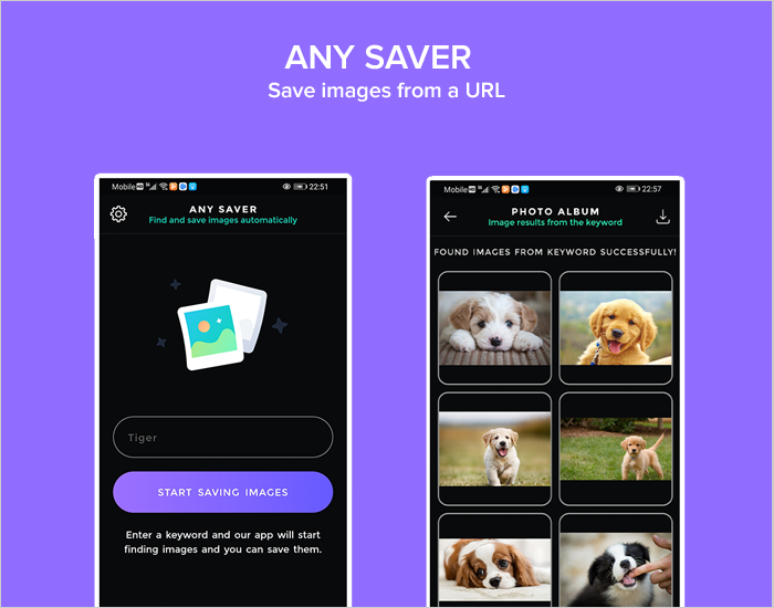 AnySaver