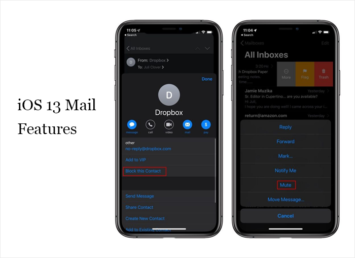 iOS 13 with updated Safari