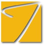 Trigent Software Inc