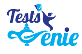 Test Genie Portfolio Image