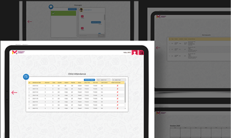 MConnect Portfolio Image