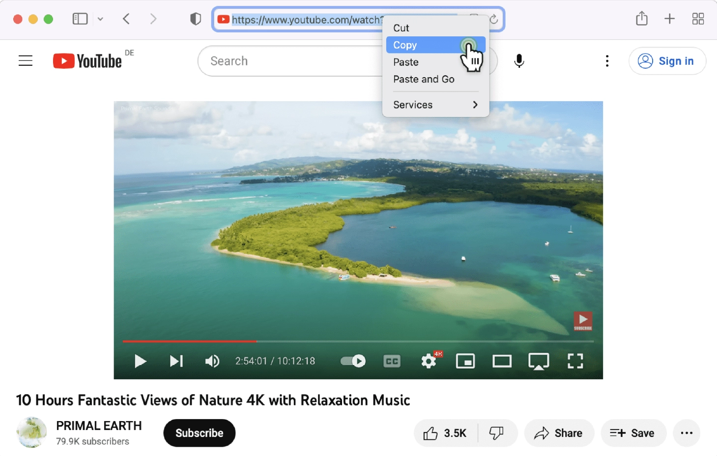4K downloader