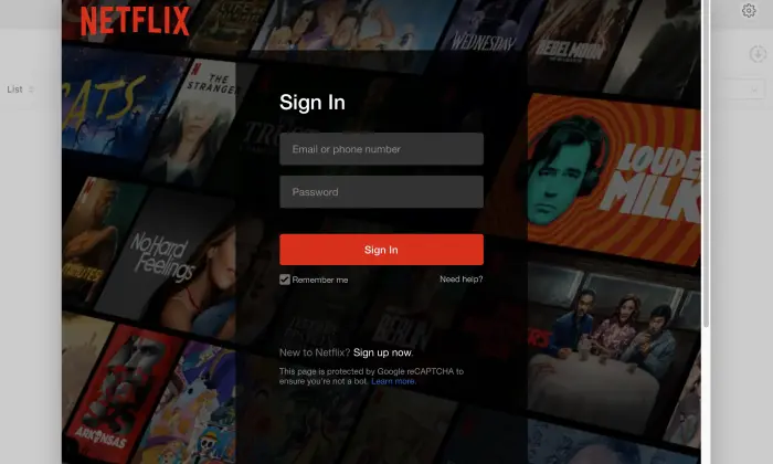 Pazu Netflix Video Downloader review