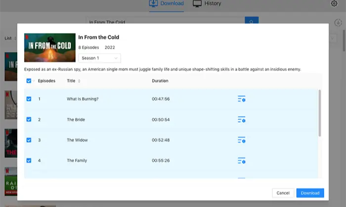 Pazu Video Downloader review