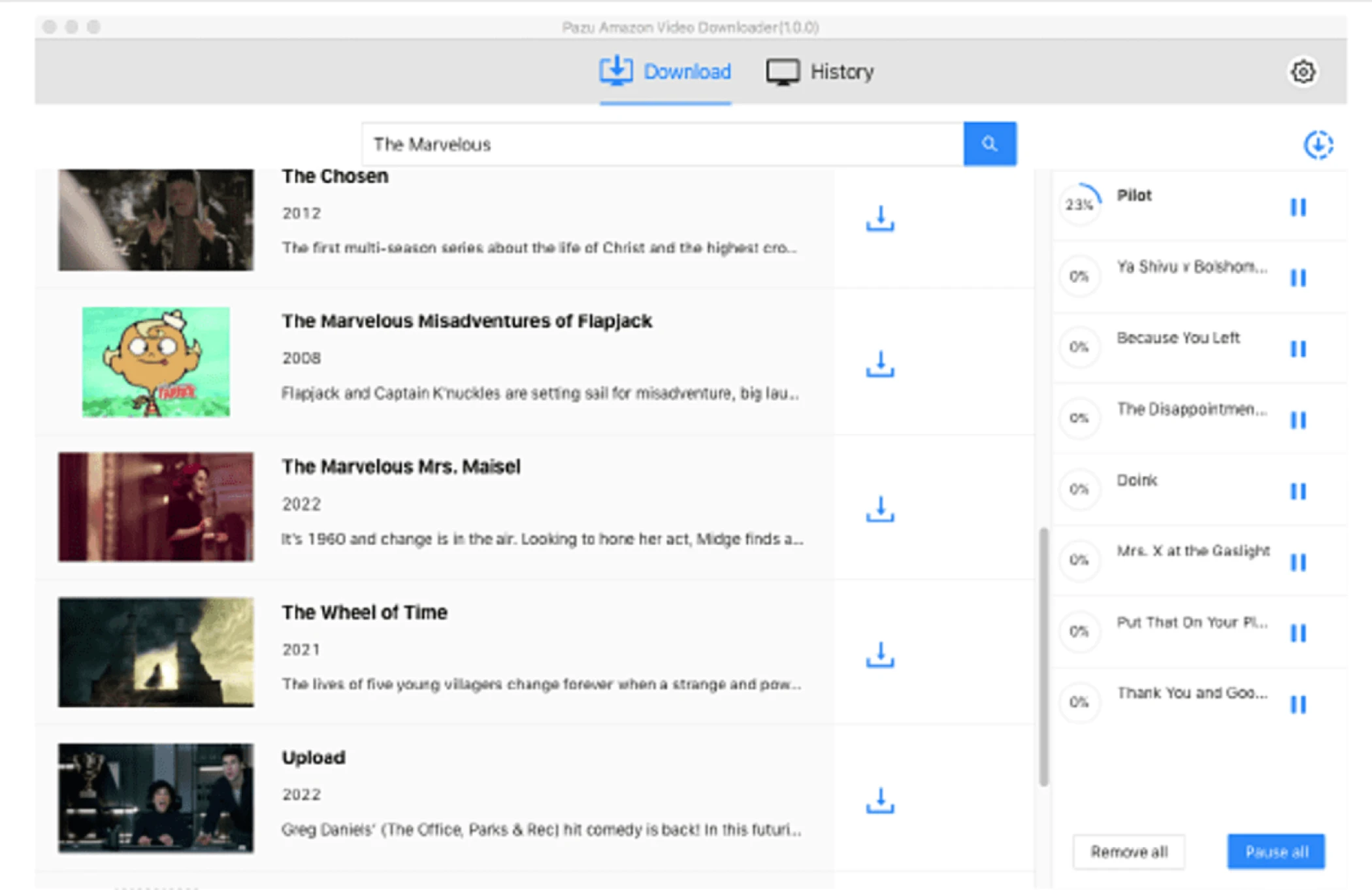 Pazu Video Downloader review
