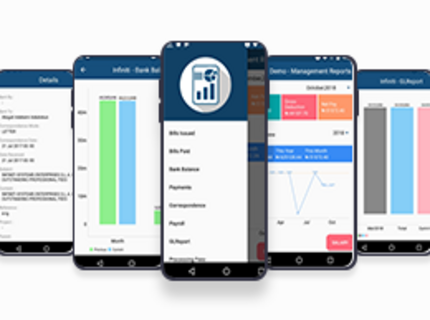 ErpCrebit- MANAGEMENT REPORTS Portfolio Image