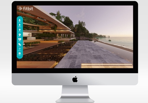 Fitbit Portfolio Image