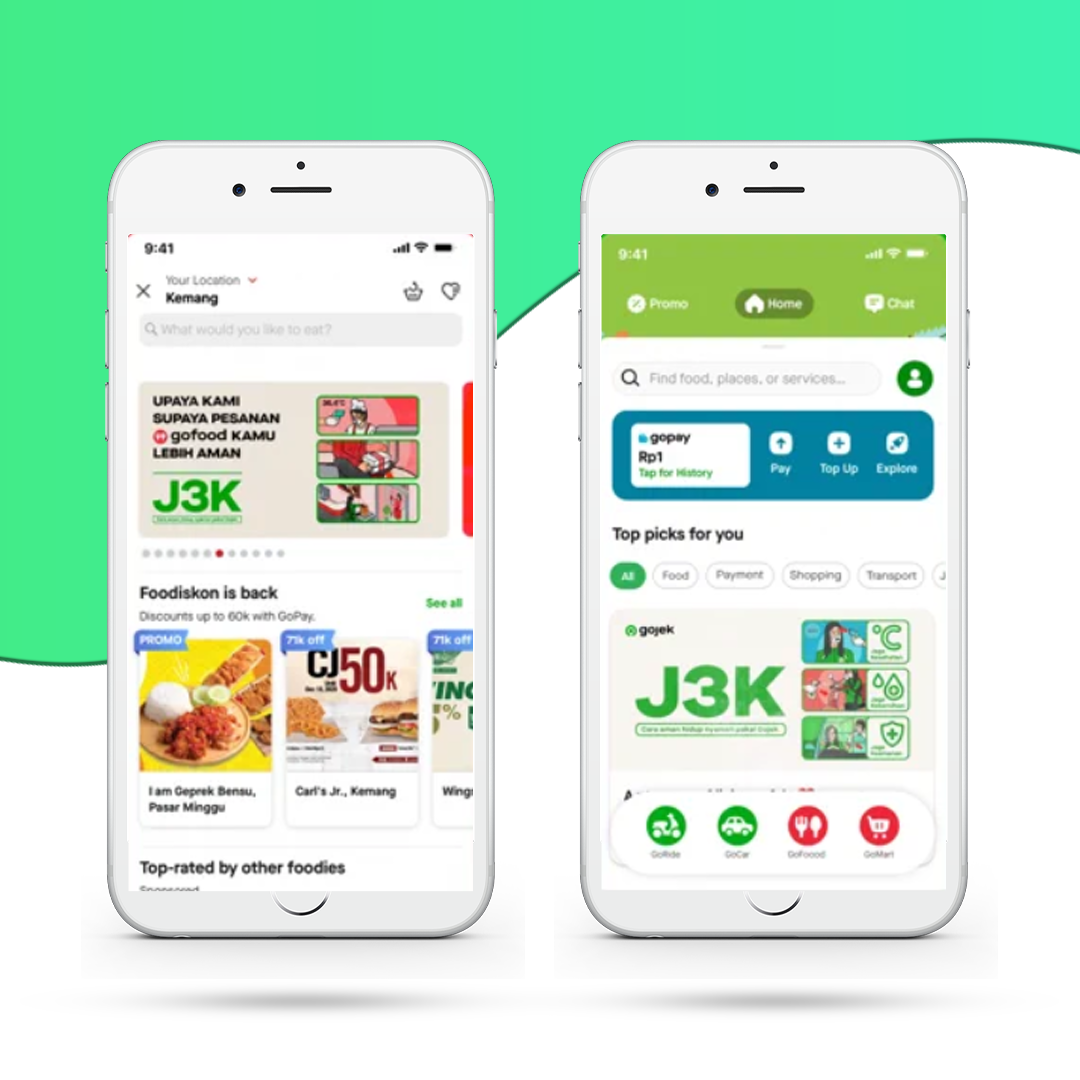 GOPAY Portfolio Image