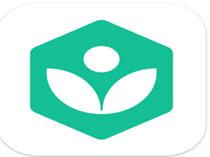 Khan Academy Portfolio Image
