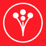 WeddingWire