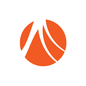 CELADONSOFT CELADONSOFT