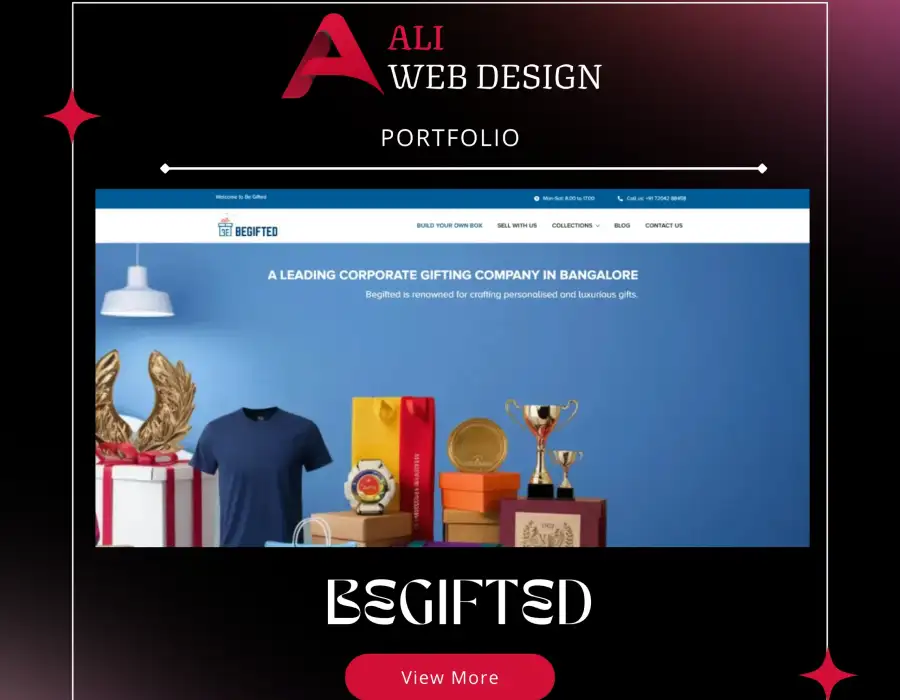 BeGifted Portfolio Image