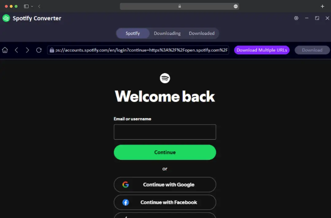 Log In to Spotify