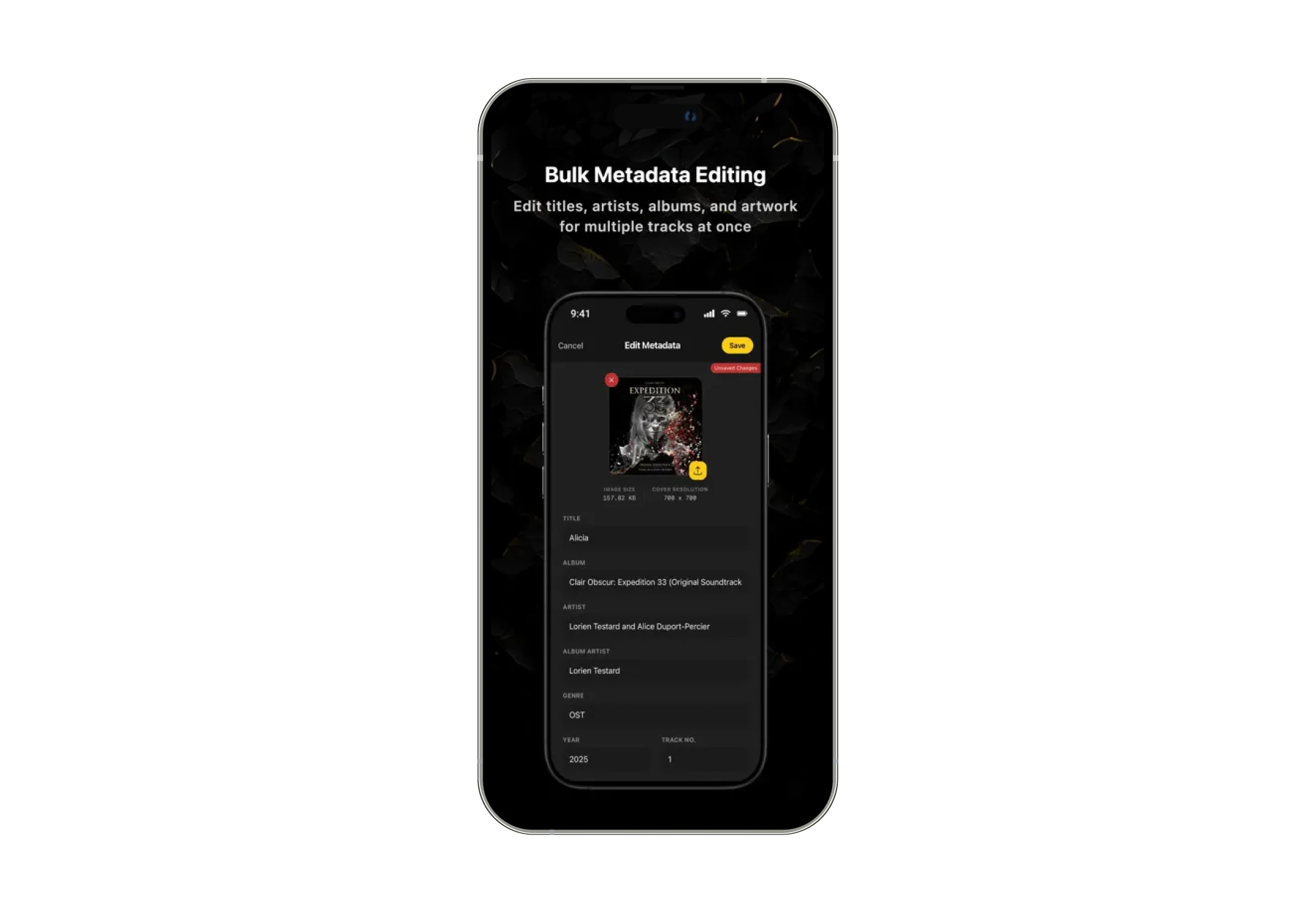 Bulk Metadata & Tag Editor